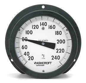  | Đồng hồ đo nhiệt độ C-600A-03 - Duratemp Thermometer C-600A-03